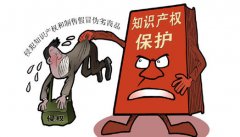 知識(shí)產(chǎn)權(quán)保護(hù)對(duì)于一個(gè)國(guó)家的意義到底在哪里？